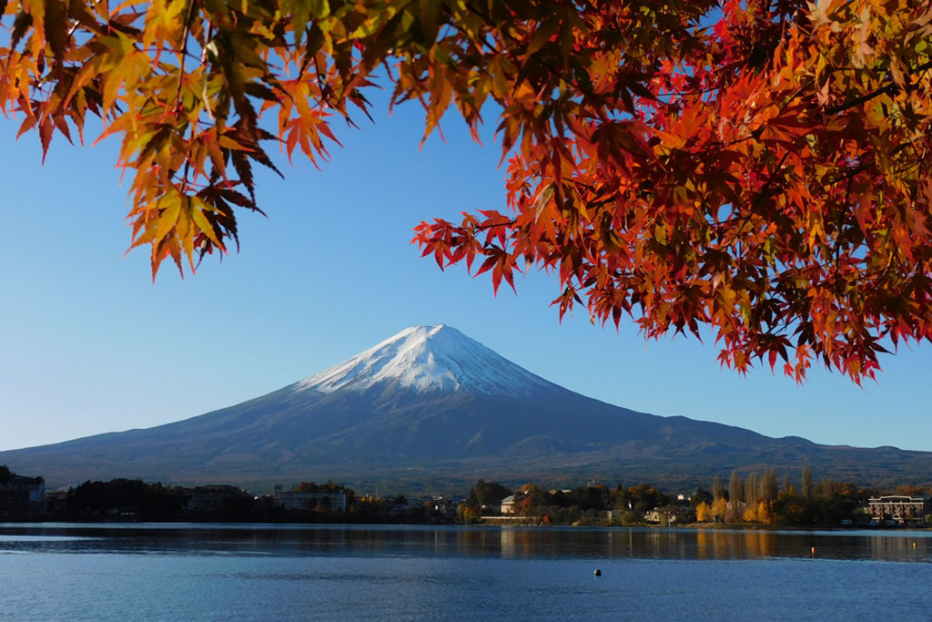 11月といえばイベント・行事は?祝日や記念日が盛りだくさんの11月