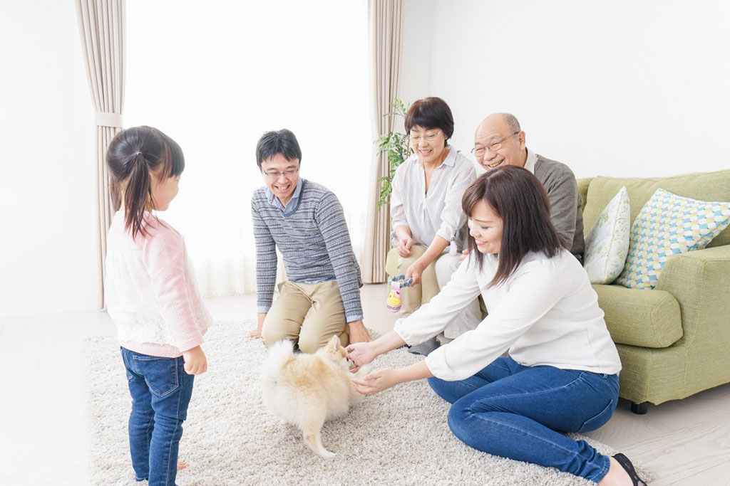 結婚35周年・珊瑚婚式はどうやってお祝いする?