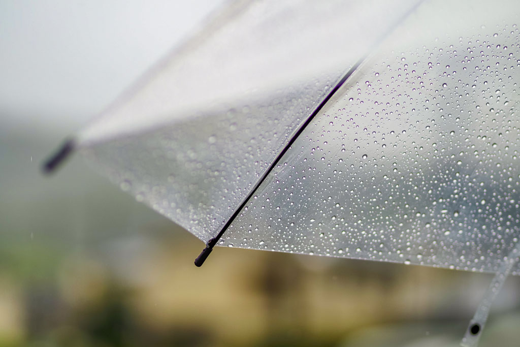 6月といえば梅雨