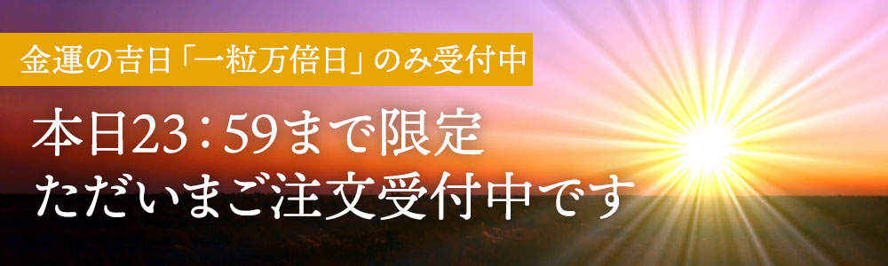 一粒万倍日限定