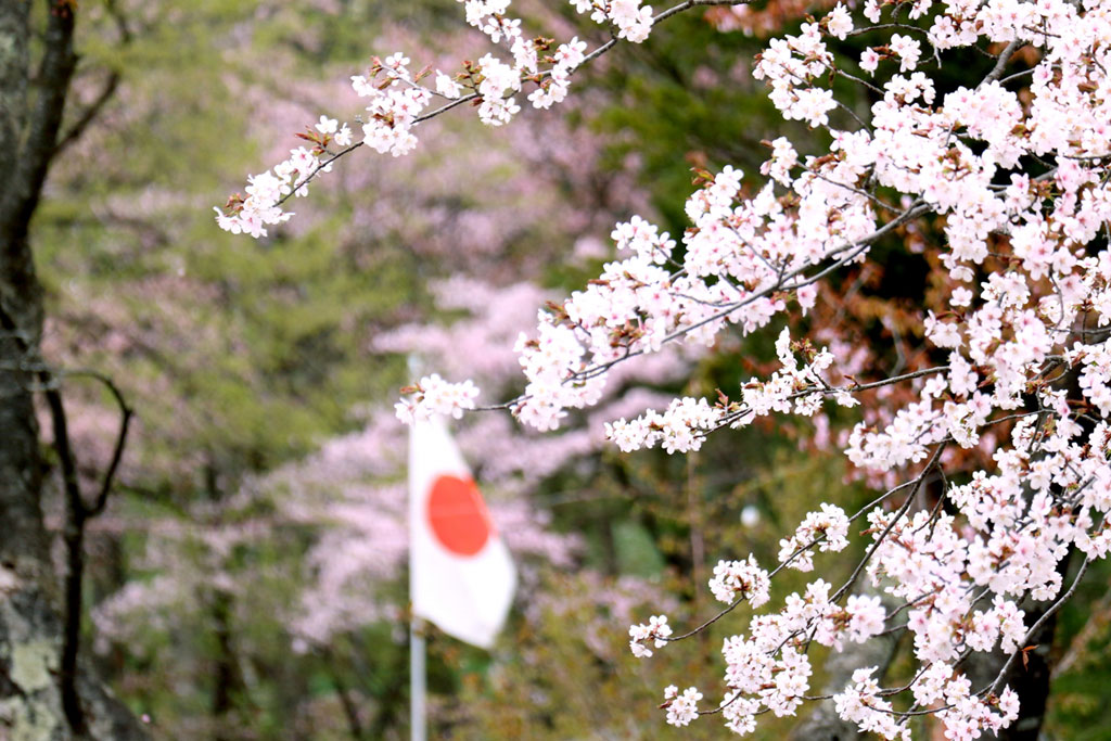 叙勲・褒章の種類