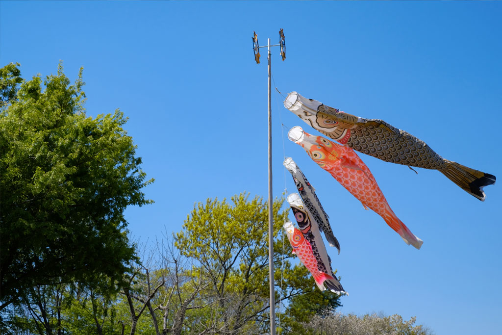 鯉のぼりの意味・由来は？こどもの日に飾る理由を知って楽しくお祝いしよう