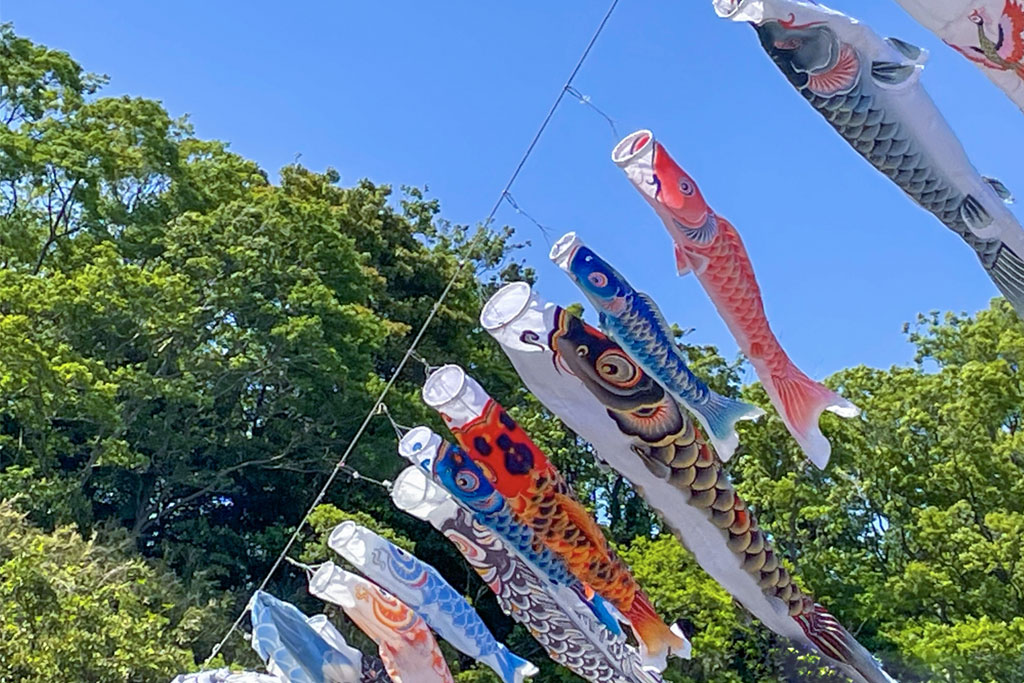 鯉のぼりの意味・由来は？こどもの日に飾る理由を知って楽しくお祝いしよう