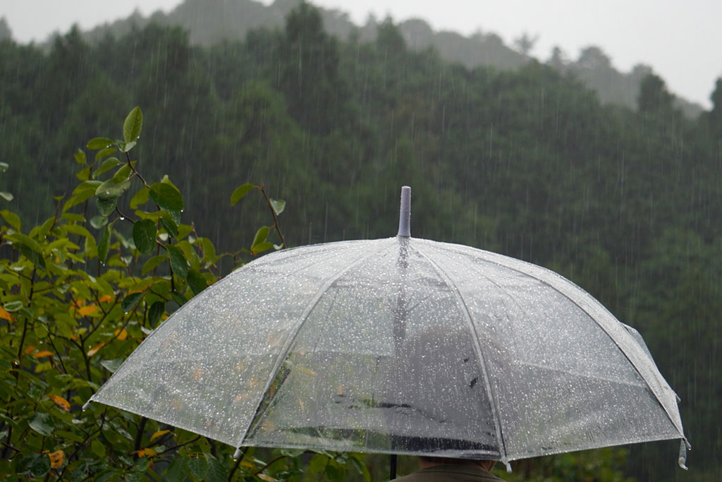 霞と霧の違いは?