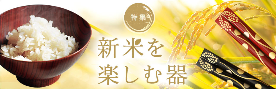 新米特集