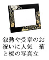 受賞や叙勲のお祝いに人気　菊と桜の写真立