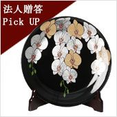 胡蝶蘭